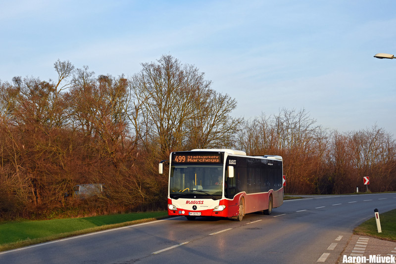 SKV (1)
