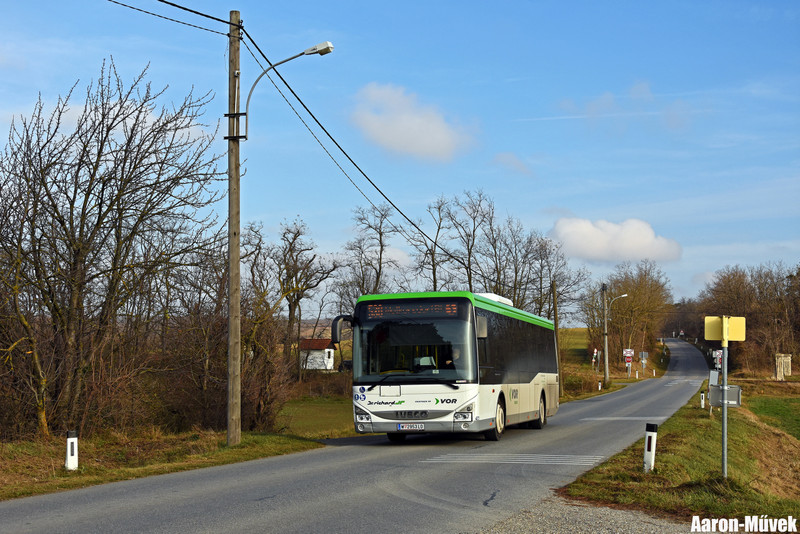 SKV (5)