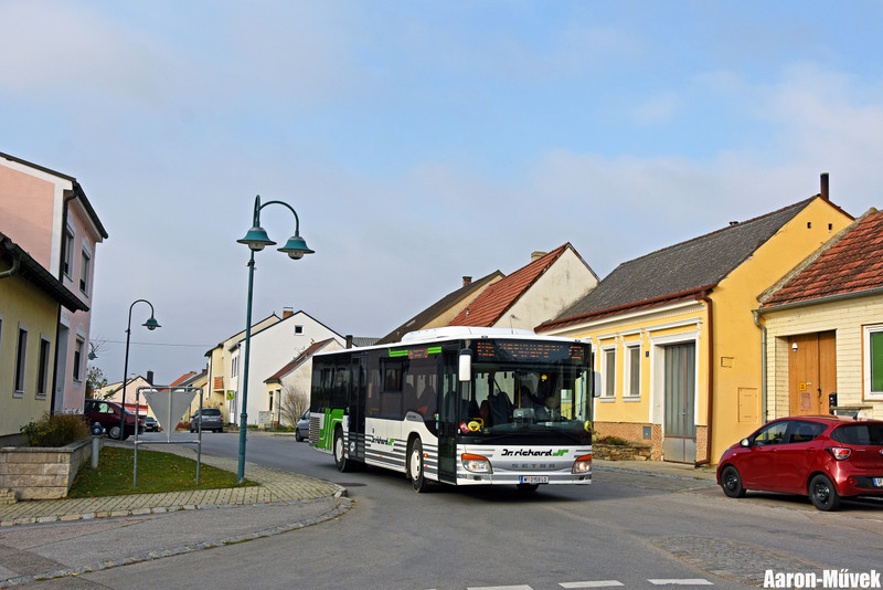 SKV (11)