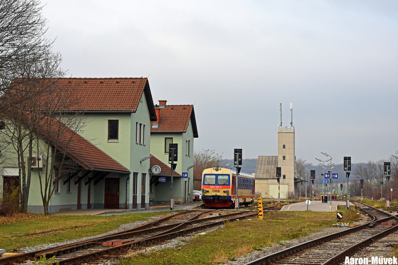 SKV (13)