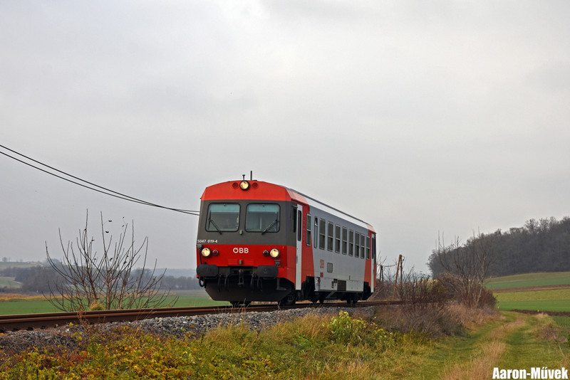 SKV (15)