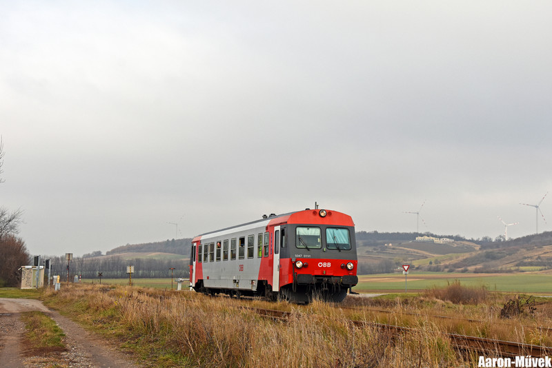 SKV (14)