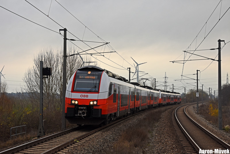 SKV (17)