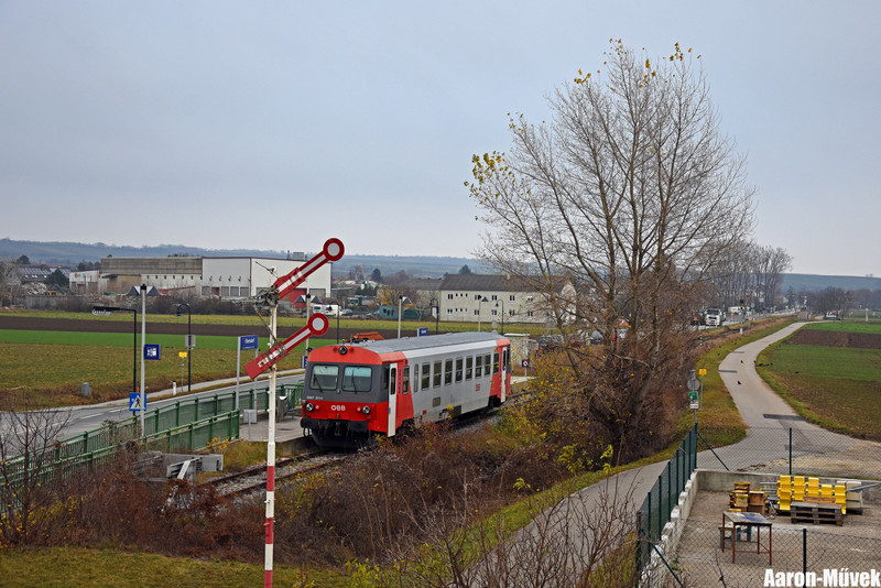 SKV (16)
