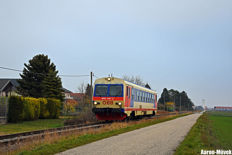 SKV (19)