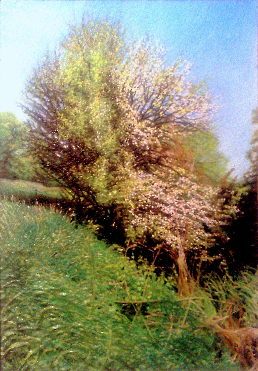 A NÁD-ÉR PATAK MELLÉKE, SZENTISTVÁN - Miniatura, 2013 - Olaj, karton - 13 X 9 cm.jpg