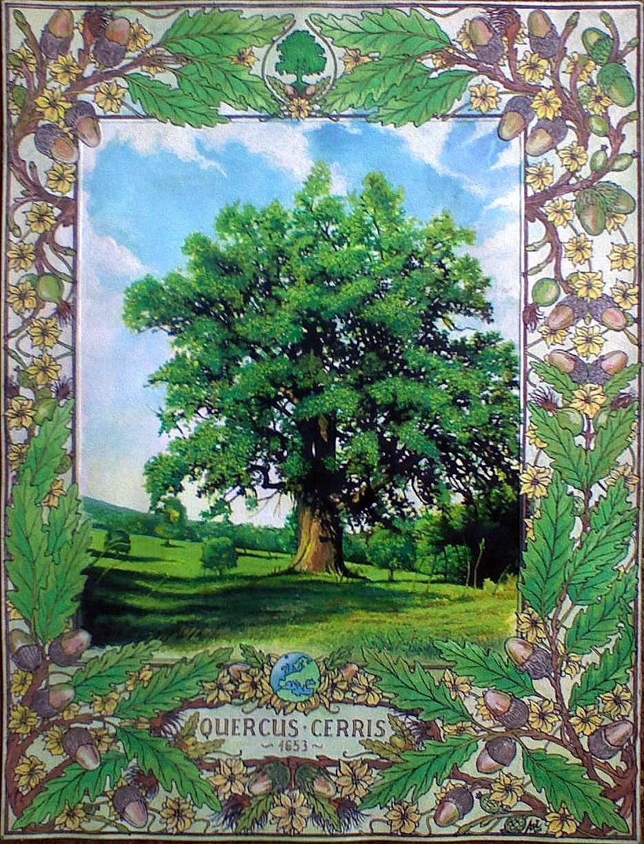 AZ ÖREG CSERTÖLGY (QUERCUS CERRIS 1653), KÁCS - Fríz és tájkép, 2011 - Tus, gouache, karton - 42 X 30 cm.jpg