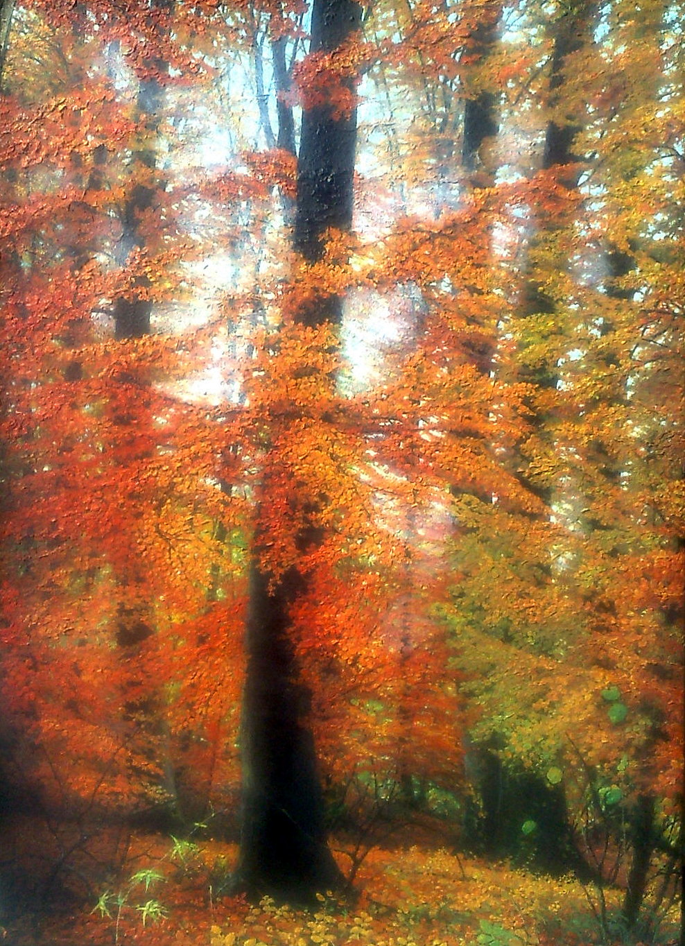 BÜKKÖS ŐSSZEL, KÁCS - Tájkép, 2012 - Olaj, fa - 50 X 34 cm_1.jpg