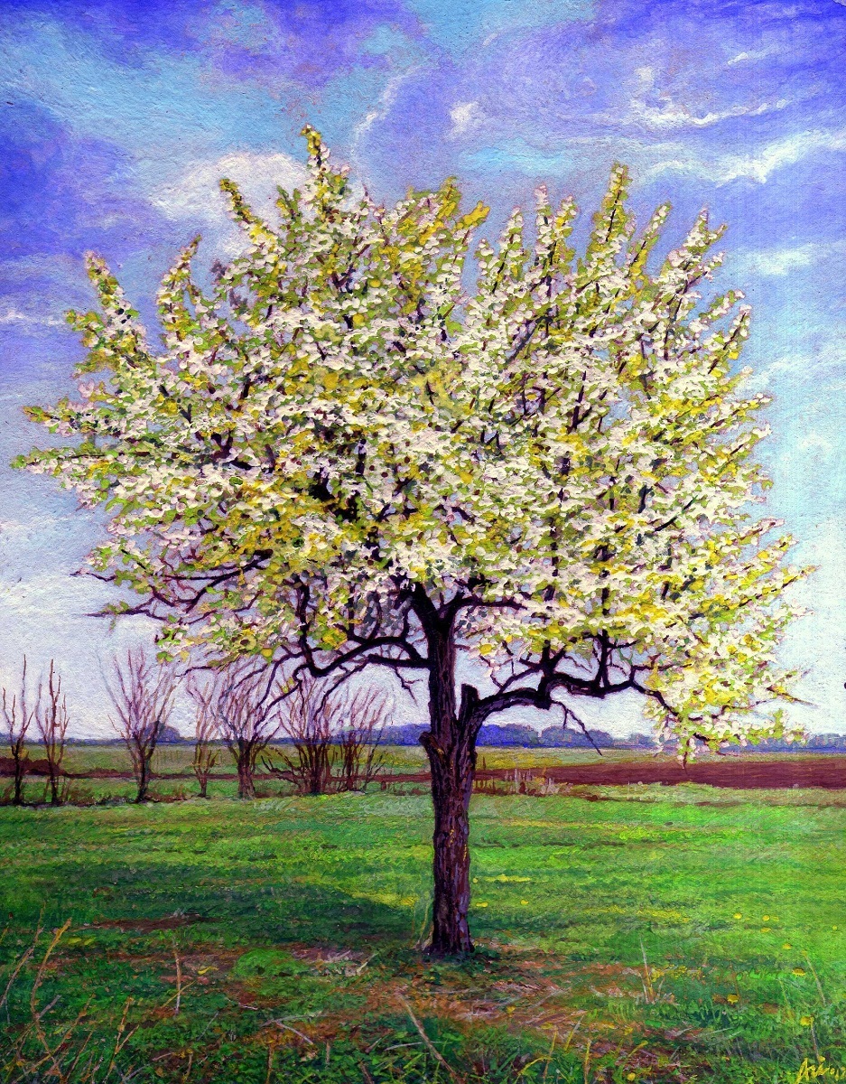 KÖRTEFA TAVASSZAL, MEZŐKERESZTES - Tájkép (miniatura), 2012 - Tempera, karton - 10 X 8 cm.jpg