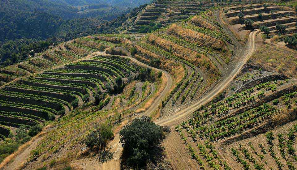 priorat.jpg