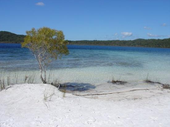 lake-birrabeen-fraser-island-tours.jpg