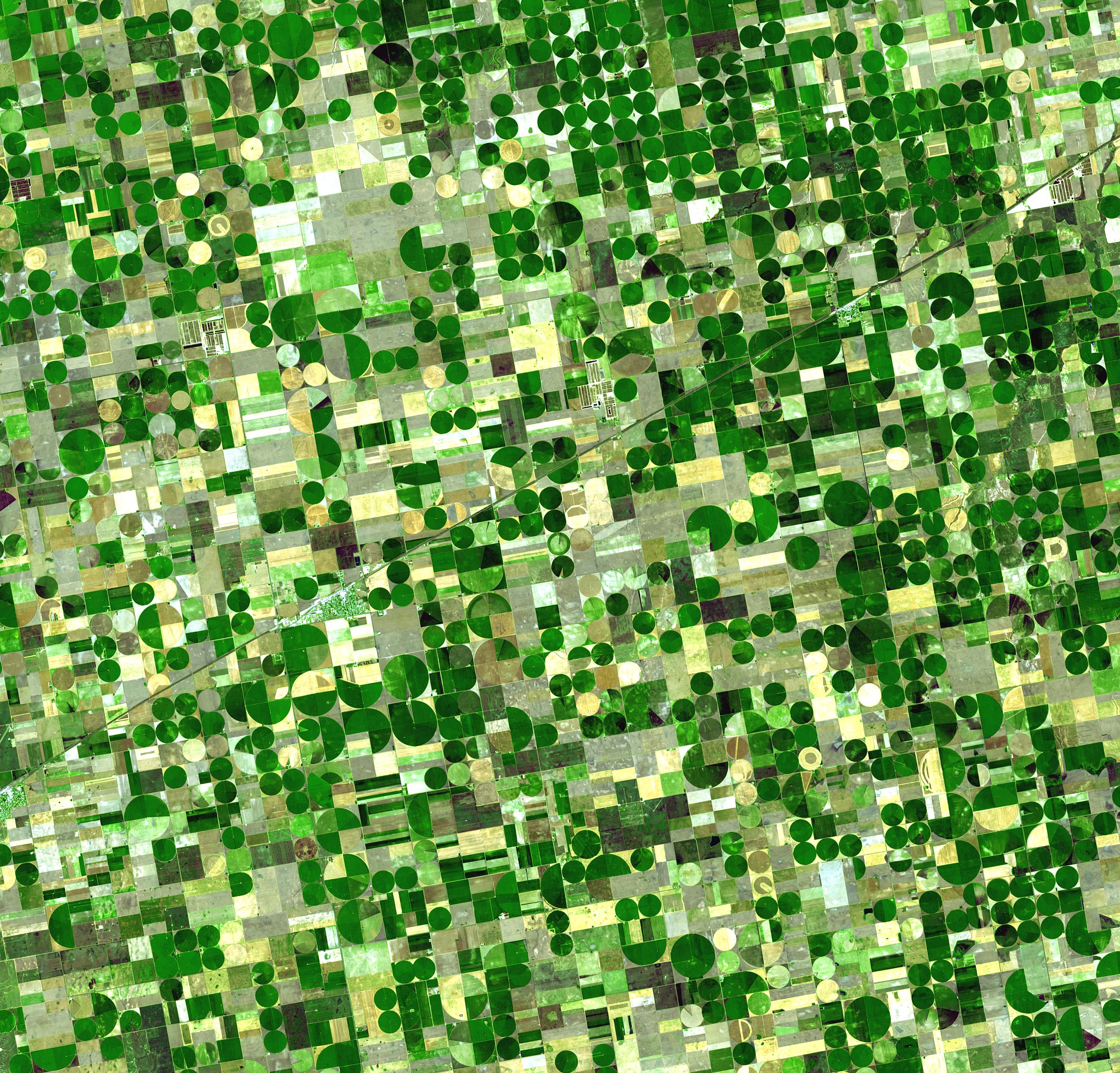 Crop Circles in Kansas.jpg