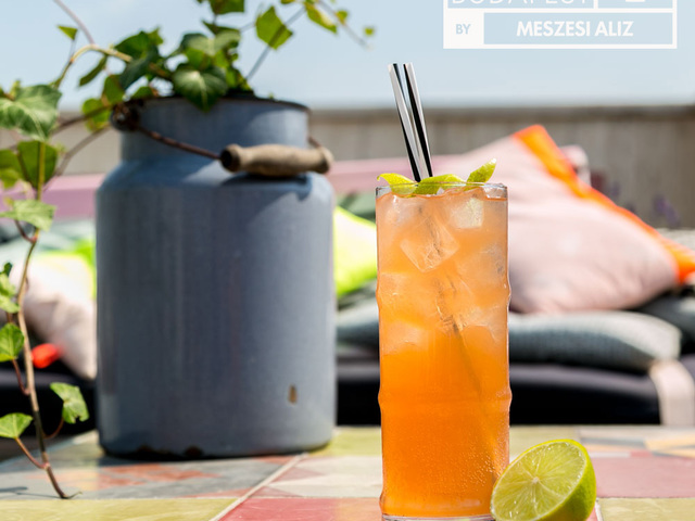 Moscow Mule by Meszesi Aliz
