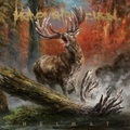 Heaven Shall Burn – Heimat, lemezismertető