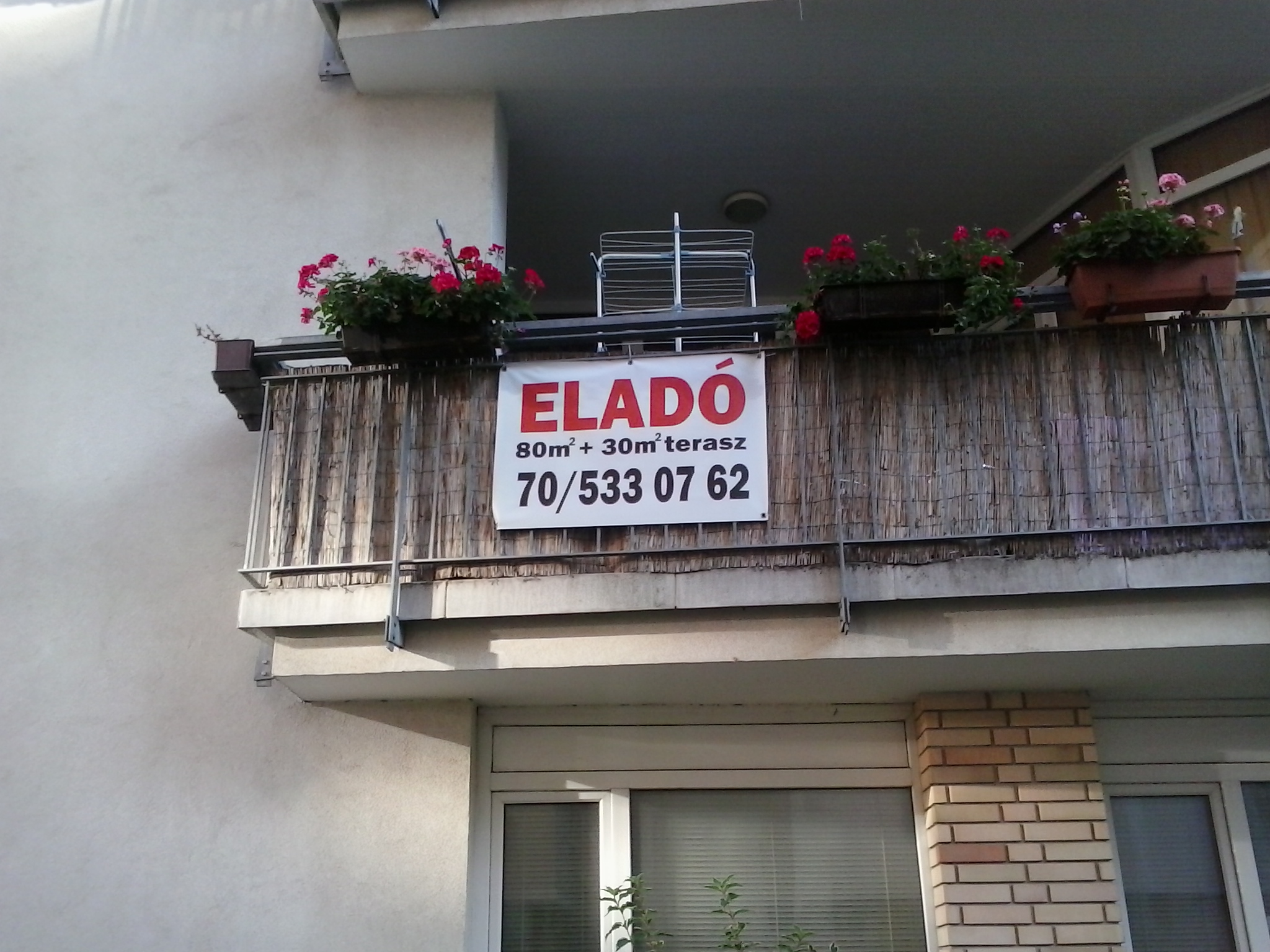 Eladó molinó.jpg