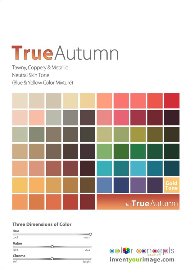 ee15728da1b84f1ac8e5b09f5563d634--true-autumn-palette-autumn-color-palette-fashion.jpg