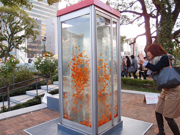 goldfish-phone-booth-tanks-kingyubo-1.jpg