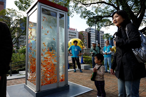goldfish-phone-booth-tanks-kingyubo-3.jpg