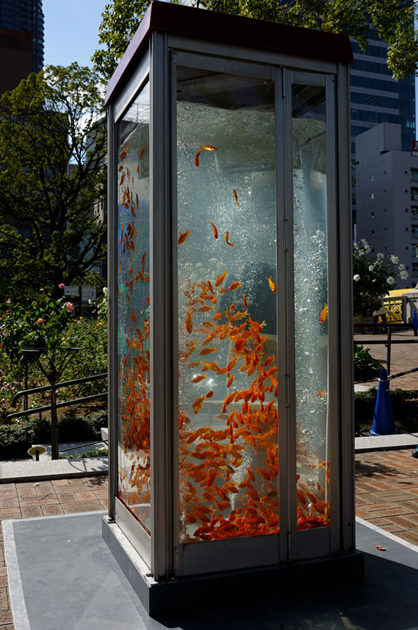 goldfish-phone-booth-tanks-kingyubo-5.jpg
