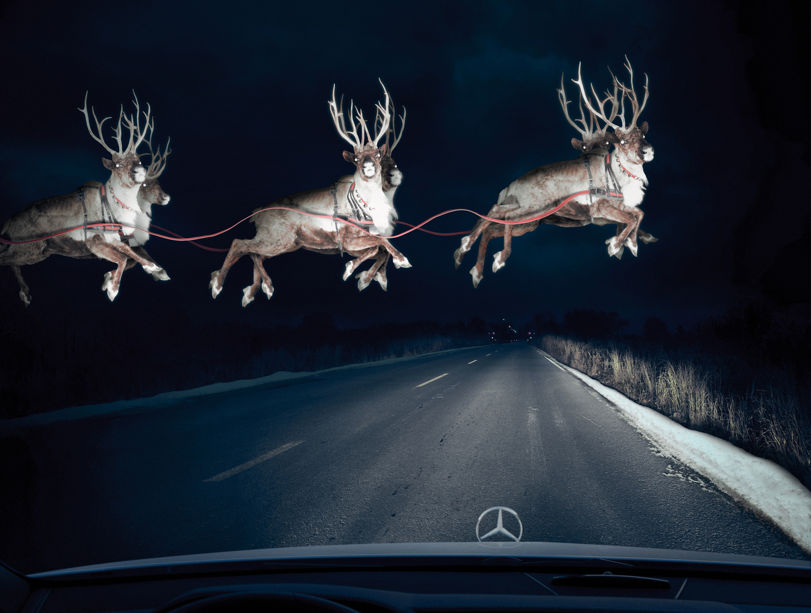 mercedes_reindeer_in_headlights-1.jpeg