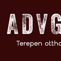 Az ADVGURU webshop története