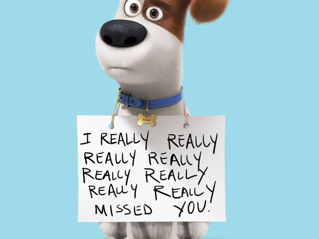 trailer + plakátgaléria: a kis kedvencek titkos élete [the secret life of pets] (2016)