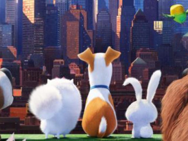 usa box office: nagy kedvenc