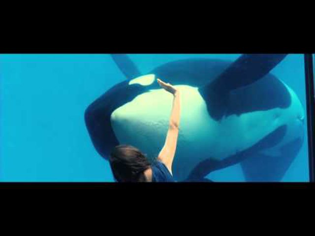 filmklip: rust and bone [de rouille et d'os] (2012)