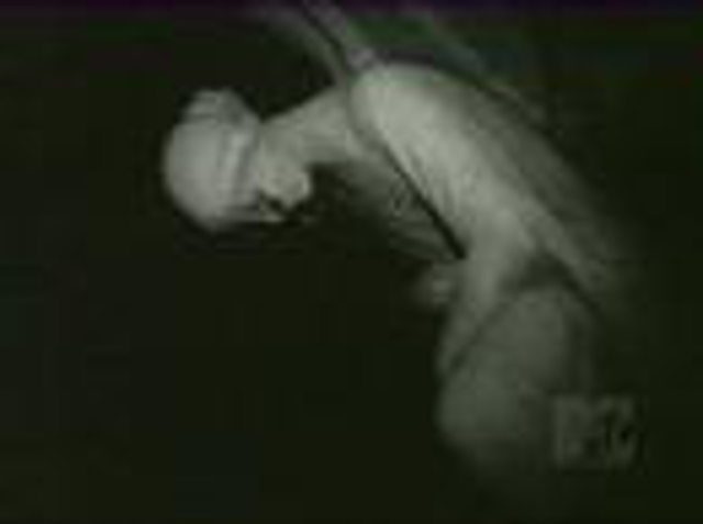 alec empire melegít reznoréknak