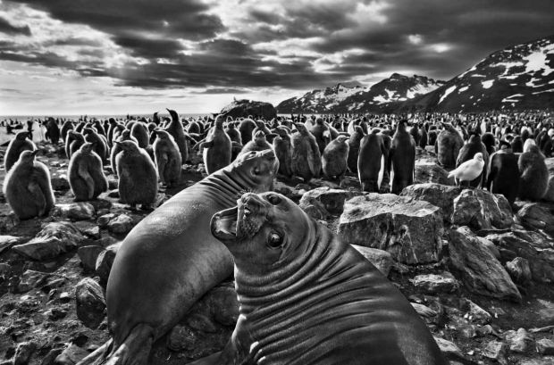 sebastiao-salgado6.jpg