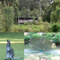 12 days in Tasmania