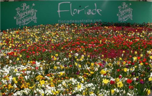 floriade2.JPG