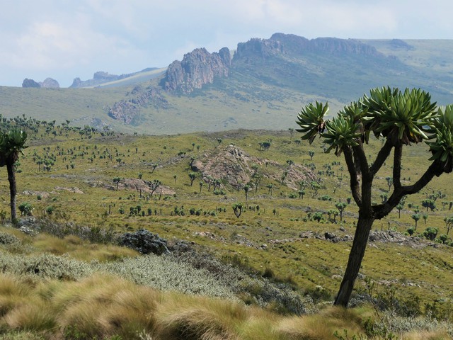 Az Aberdare-hegység Kenyában