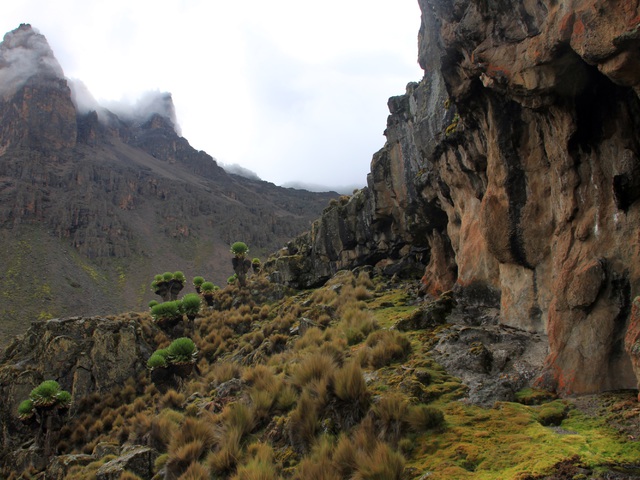 Mount Kenya...a reménytelen trónörökös