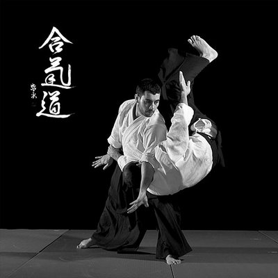 tenchi_nage_by_studio_marino.jpg