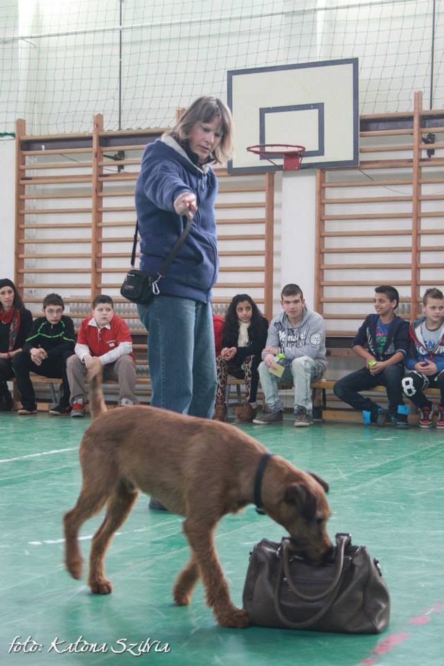 Póker szemügyre veszi (na jó, megkerüli) a táskát