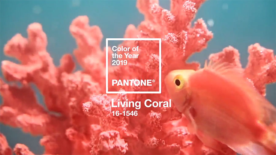 pantone_coral_0002019.jpg