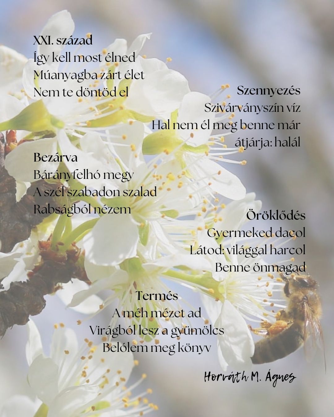 Haiku versek egy képben