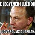 Aki udvarol..