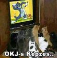 OKJ-s képzés...