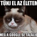Úgy tűnj el...