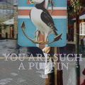you are such a puffin