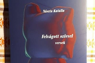 Nászta Katalin: Végszó előtt