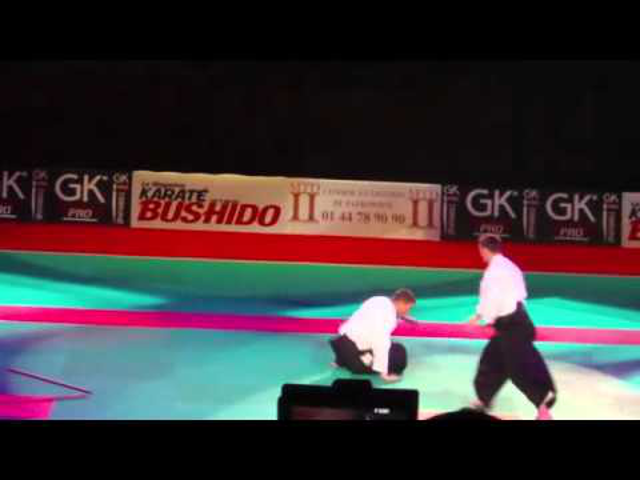 Elképesztő aikido-videó