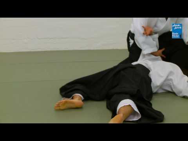 Edzőtábor-ajánló: Bodo Rödel, 5. dan aikikai