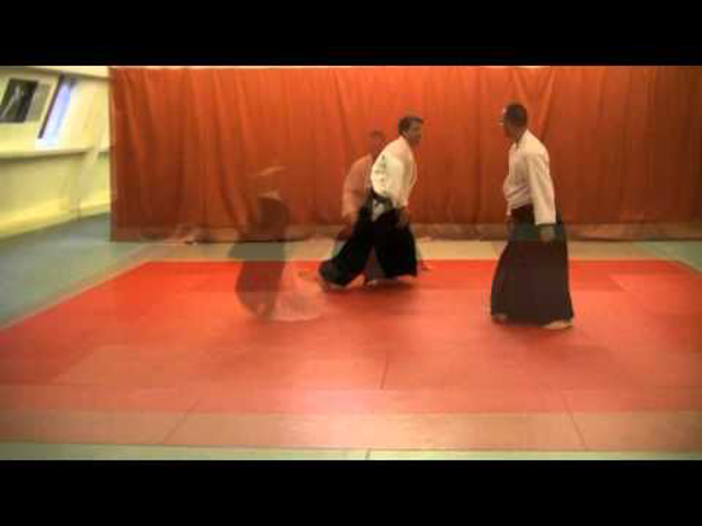 Az aikido-mester: van, aki megérdemli