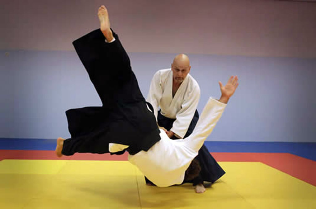 interview-ellis-amdur-aikido.jpg