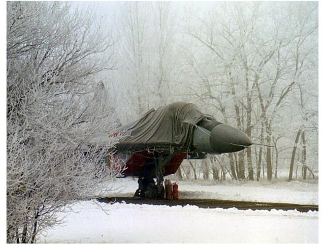 Téli álom