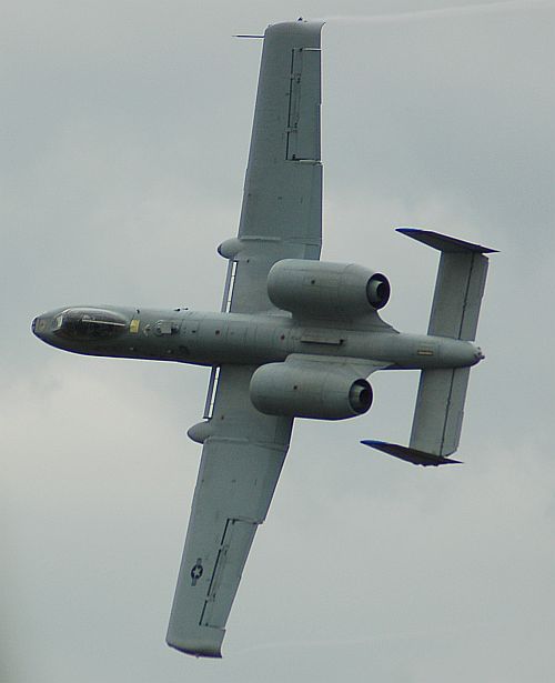 bw-47.jpg