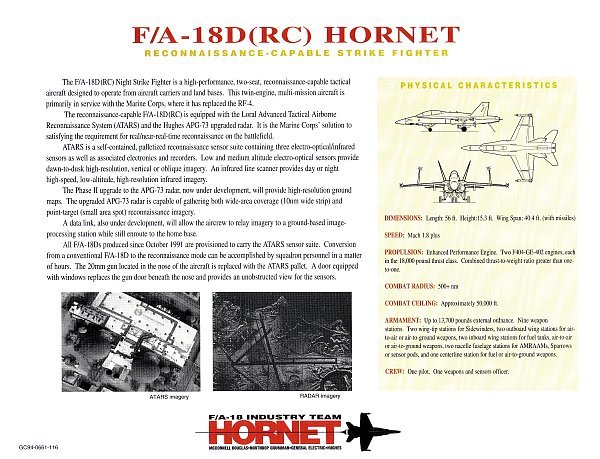 hornet-06.jpg